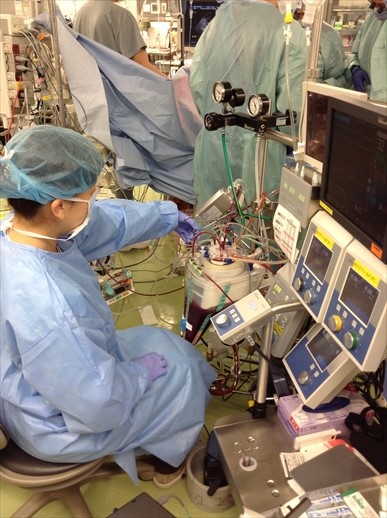 extracorporeal circulation 1